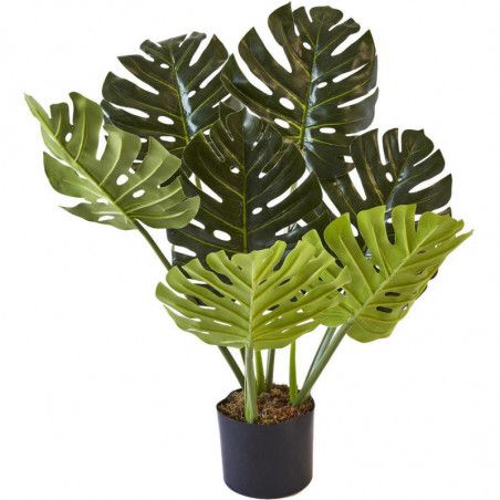 Plante artificielle - Olla Vert - H 70 cm - Peva