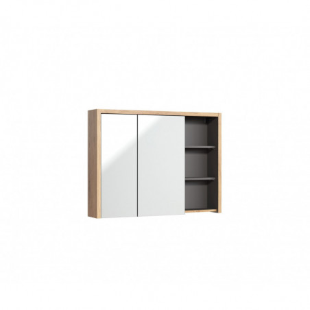 Armoire miroir mural - 100 x 18 x 75 cm - Masen