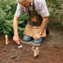 Pelle En Inox Avec Manche En T 90cm - jardin - entretien jardin pelouse et  sol - entretien du sol - outillage 224 main - pelle en inox avec manche en  t 90cm