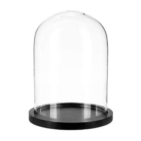Cloche en verre sur socle en bois noir - D23 x H 29,5 cm - Transparent