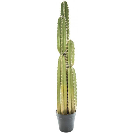 Cactus pin de décoration - Vert - H 185 cm - Collection Precious loft