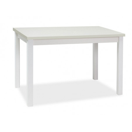 Table à manger 6 couverts - Blanc mat - L100 x P 60 x H 75 cm