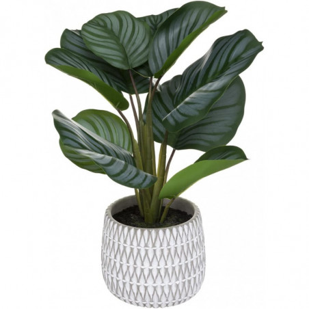 Maranta artificielle en pot - Blanc - D 13,5 x H 45 cm