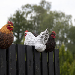 Poule Marans décorative accroche barrière [Prix Bas]