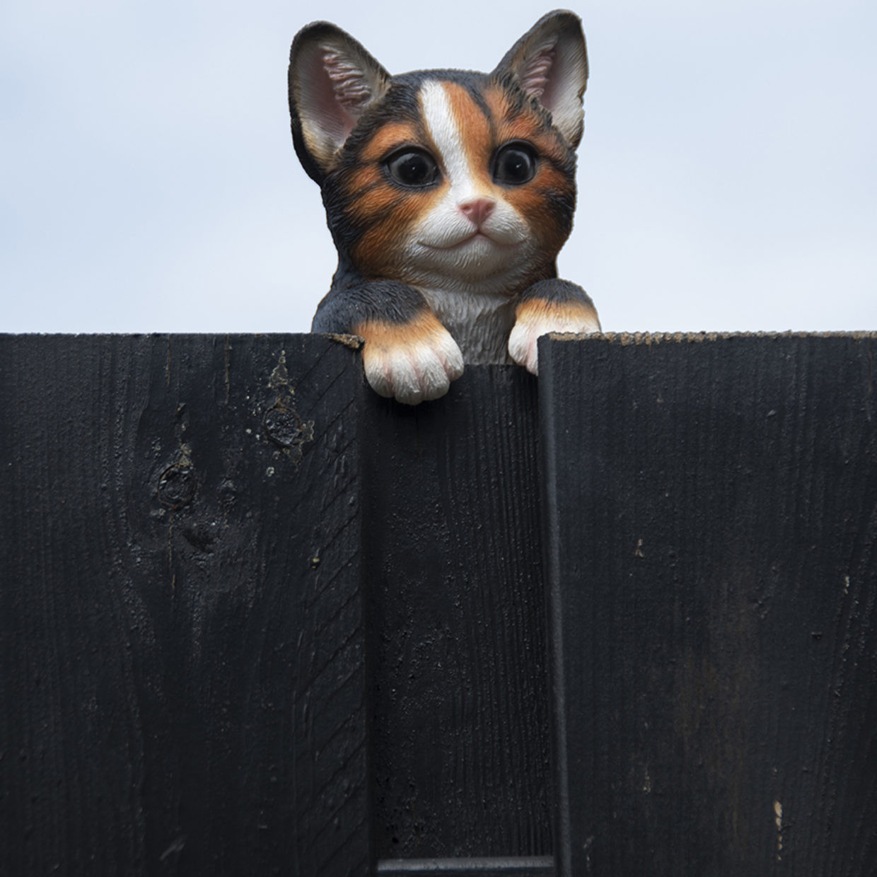 Statuette de chat à accrocher sur barrière en polyrésine - Noir - L 11 x l  9 x H 22 cm