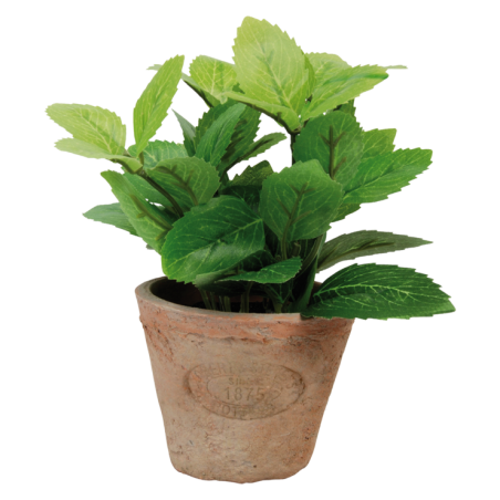 Menthe artificielle et son pot en terre cuite - Vert - D 8,8 x H 16,5 cm