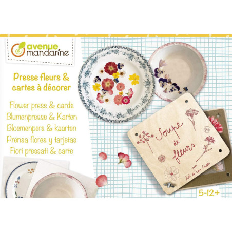 Boîte créative pour soupe de fleurs - Presse fleur et cartes postales à décorer - L 23 x H 4 x l 16 cm