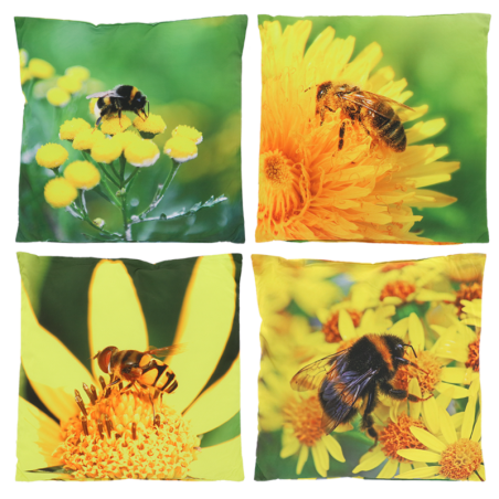 Assortiment de 4 coussins à imprimé abeilles - Jaune - 47 x 47 cm