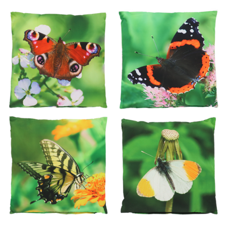 Assortiment de 4 coussins à imprimé papillons - Multicolore - 40 x 40 cm