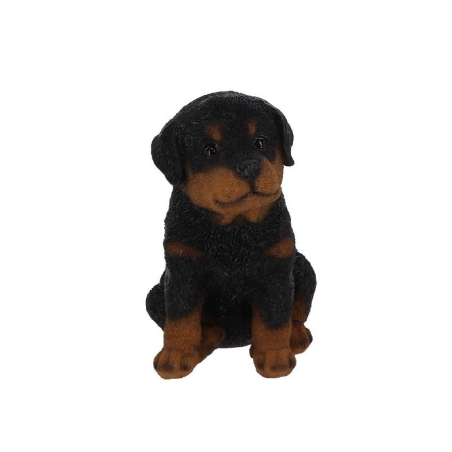 Chiot décoratif en polyrésine - Rottweiller - H 16 cm