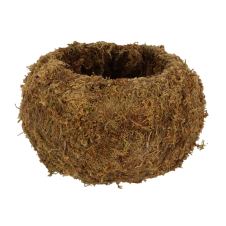 Boule de mousse Kokedama L - Marron - D 19,8 x H 12 cm cm