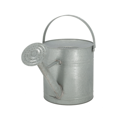 Arrosoir en métal avec pomme d'arrosage - Gris - 8,7 L