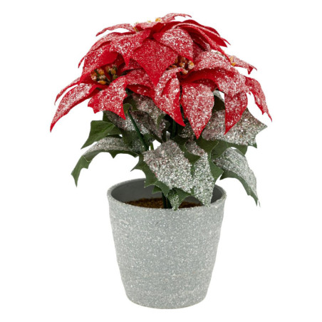 Plante artificielle de noël "Poinsettia" - Rouge - H 22 cm