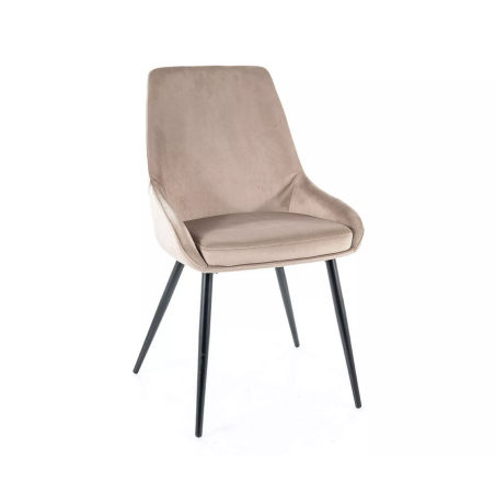 Chaise en velours "Cobe" - Velvet - Beige - l 49 x H 85 cm