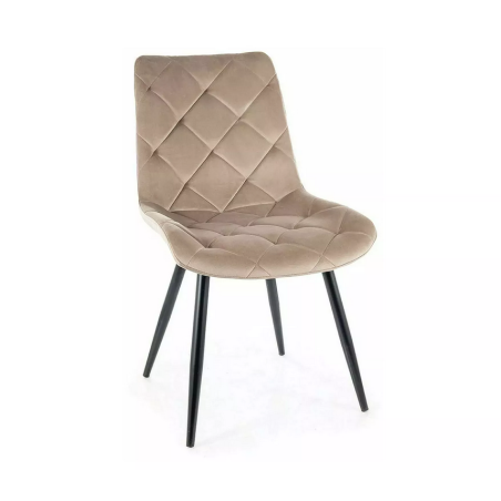 Chaise en velours "Ralph" - Velvet - Beige - l 51 x H 88 cm
