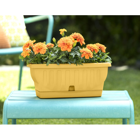 Jardinière "Natura" - Jaune - L 51,5 x l 23 x H 21,5 cm