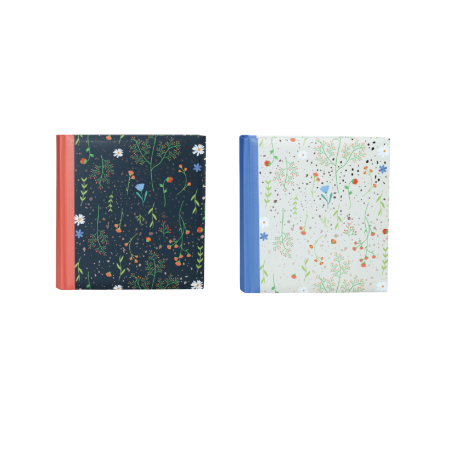 Lot de 2 albums photos à pochettes 200 mémos "Nature 4" - Bleu et rouge - 400 photos