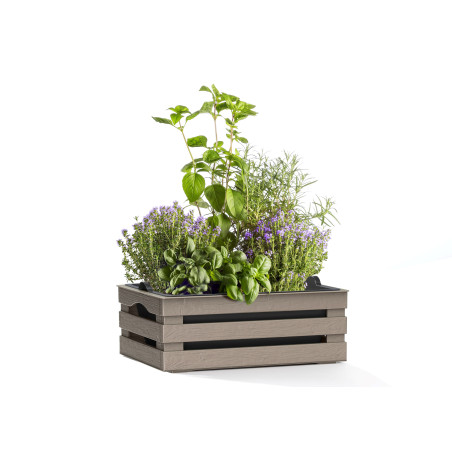 Caisse à fleurs avec pot + soucoupe "Tina" en plastique - Taupe - L 25 x P 15,5 cm