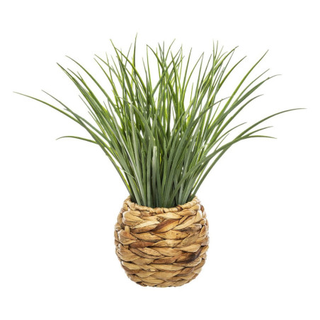 Herbe avec pot naturel "Moda" - Vert - H 46 cm