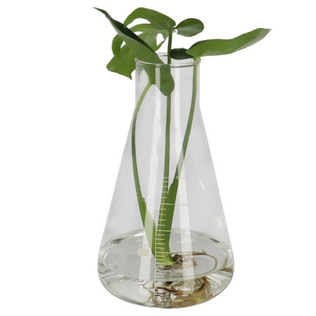 Bouteille Erlenmeyer XXL - Verre Transparent - 18,5 x 18,5 x H 31,7 cm