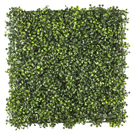 Plaque Murale Végétale Feuillage de Buis 50x50cm - Rendu Dense et Réaliste - Intérieur Extérieur