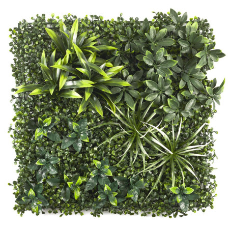 Plaque Murale Végétale Feuillage Varié Plantes et Buis 50x50cm - Rendu Dense et Réaliste - Intérieur Extérieur