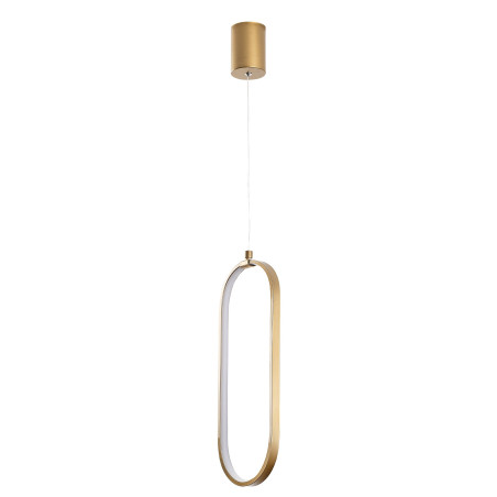 Suspension Luminaire en métal doré - 17 x 60-110 x 10 cm - Hauteur réglable - LED SMD 16W - IP20