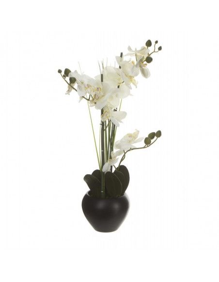 Orchidée et vase en céramique - 50 x 28 x 53 cm - Noir