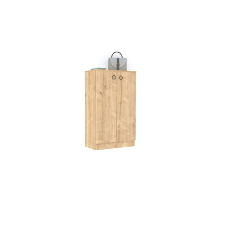 Meuble à chaussures en Bois MDF bleu saphir - L 60 × P 31,6 × H 100 cm - Style Moderne