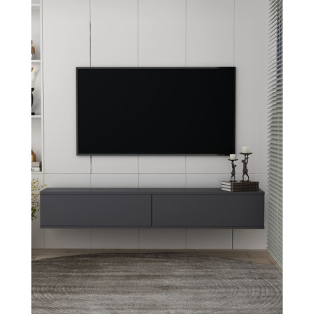Meuble TV - 120 x 26 x 30 cm - Anthracite