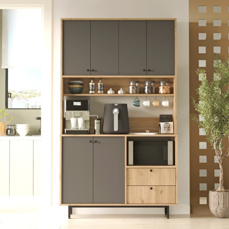 Meuble de Rangement avec Étagères - 120 x 205 x 36 cm - Chêne et Anthracite