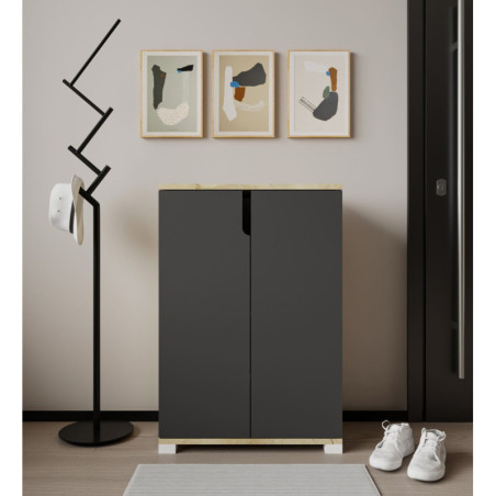 Meuble à Chaussures avec Étagères - 60 x 97 x 34 cm - Chêne Saphir et Anthracite