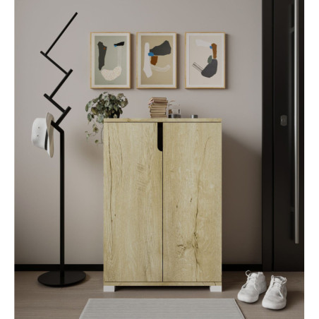 Meuble à Chaussures avec Étagères - 60 x 97 x 34 cm - Chêne Saphir