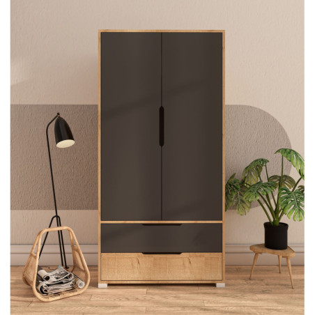 Armoire avec Étagères - 90 x 183 x 45 cm - Chêne Saphir et Anthracite