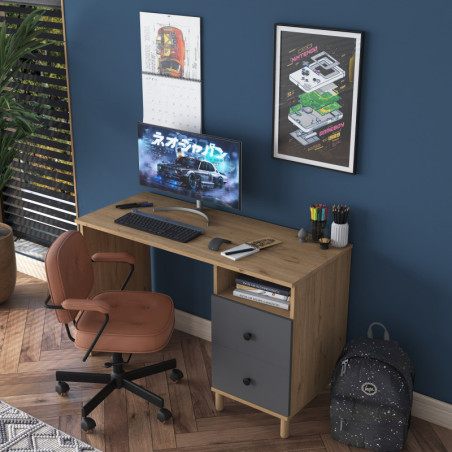 Bureau - 120 x 74 x 50 cm - Noyer et Anthracite