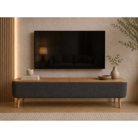 Meuble TV avec Rangement - 120 x 45 x 30 cm - Anthracite