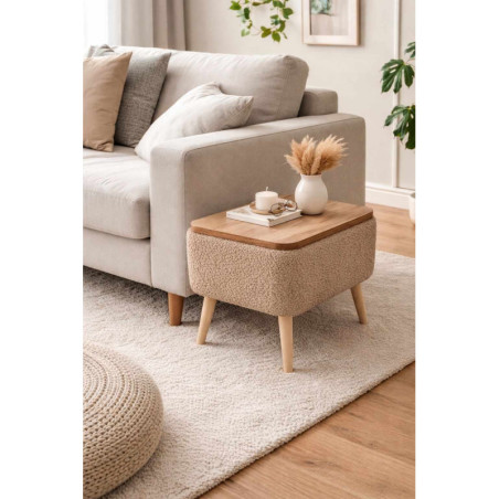 Table d'Appoint - 60 x 45 x 30 cm - Marron