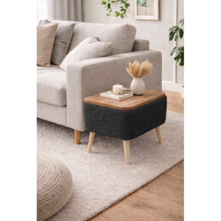 Table d'Appoint - 60 x 45 x 30 cm - Anthracite