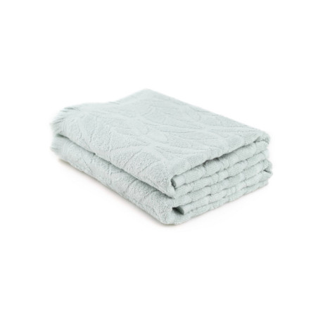 Lot de 2 Serviettes de Toilette - 50 x 90 cm - Coton 100 % - Vert Clair