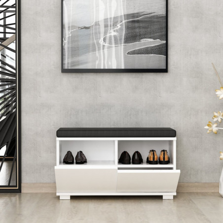 Meuble à Chaussures - 80 x 42 x 35 cm - Blanc
