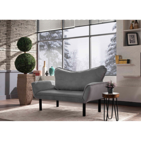 Canapé Convertible 2 Places - Couchage 180 x 70 cm - Gris