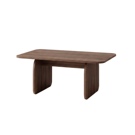 Table Basse - 100 x 42 x 60 cm - Décor Noyer