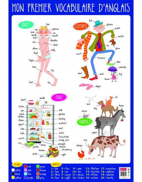 Poster pédagogique - Anglais - 52 x 76 cm