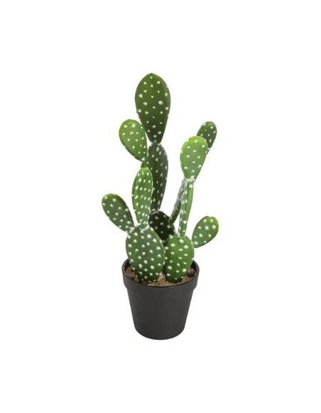 Cactus artificiel - Nomade - H 42 cm  - Modèle aléatoire