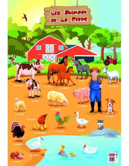 Poster pédagogique - Animaux de la ferme - 52 x 76 cm