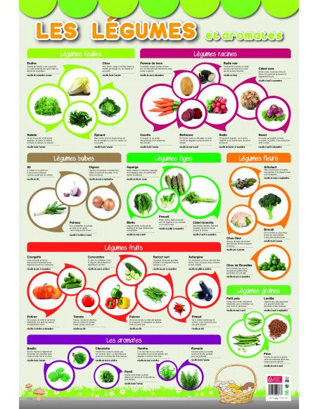 Poster pédagogique - Légumes - 52 x 76 cm