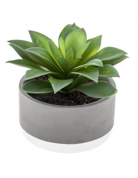 Plante grasse artificielle - D 12 x H 13 cm 