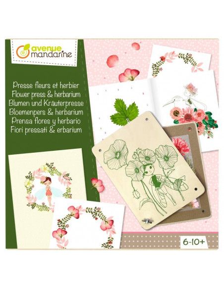 Boîte créative - Presse fleurs et herbier