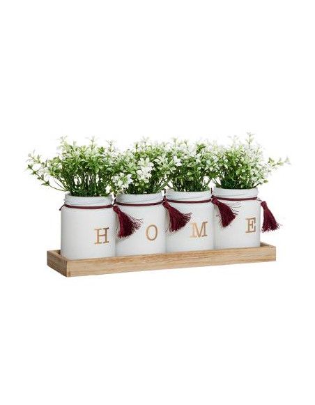 Set de 4 plantes décoratives -  L 28,5 cm x l 8.5 cm  - Verre