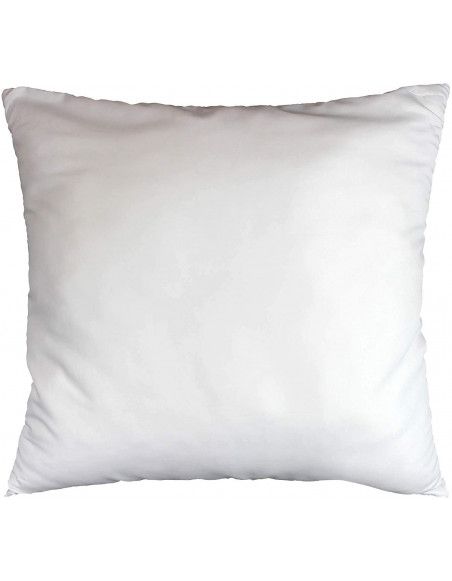 Oreiller anti-acarien - 60 x 60 cm - Premium